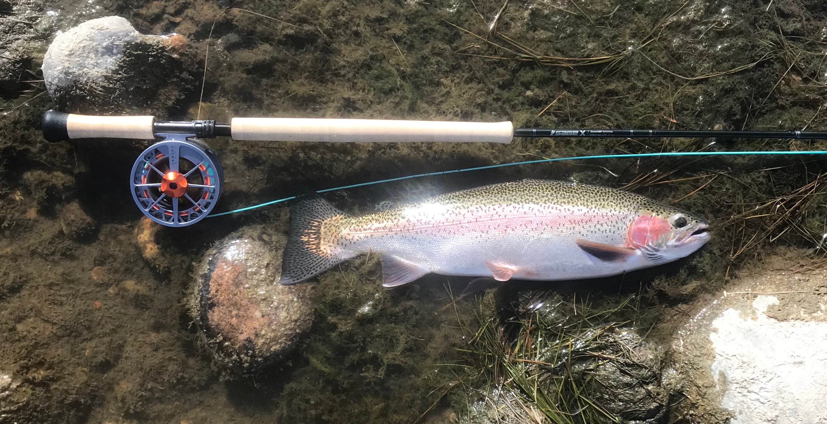 Sage Day 2024 – St. Peter's Fly Shop