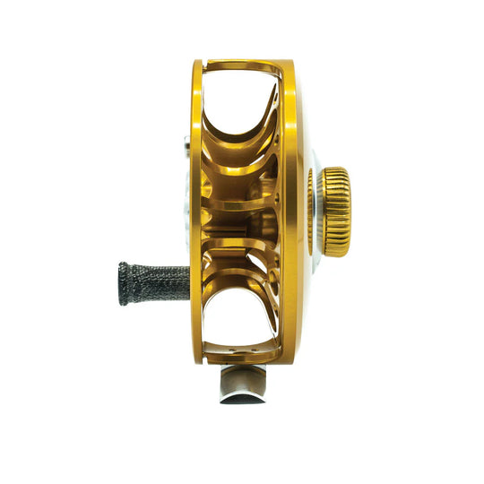 Ross San Miguel Reel