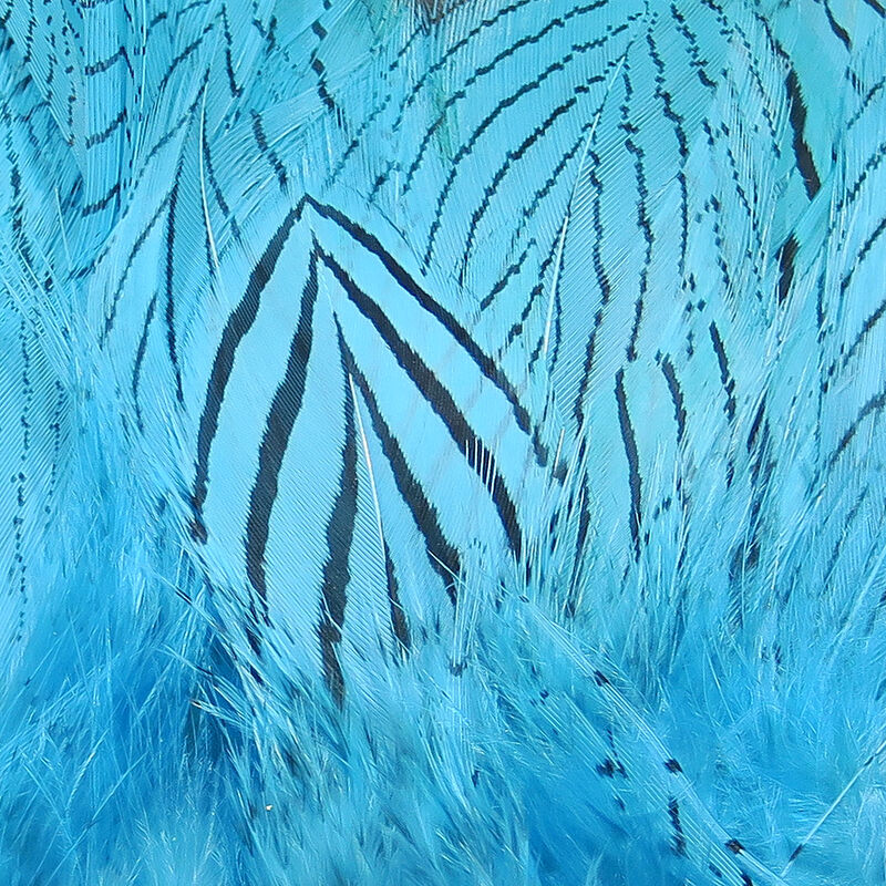 Silver Pheasant Body Feathers