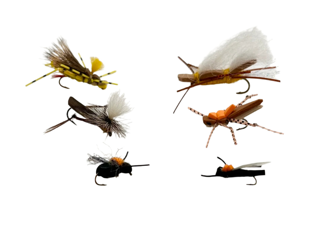 Summer Terrestrial Assortment
