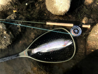 St. Peter's Trout Spey Combo