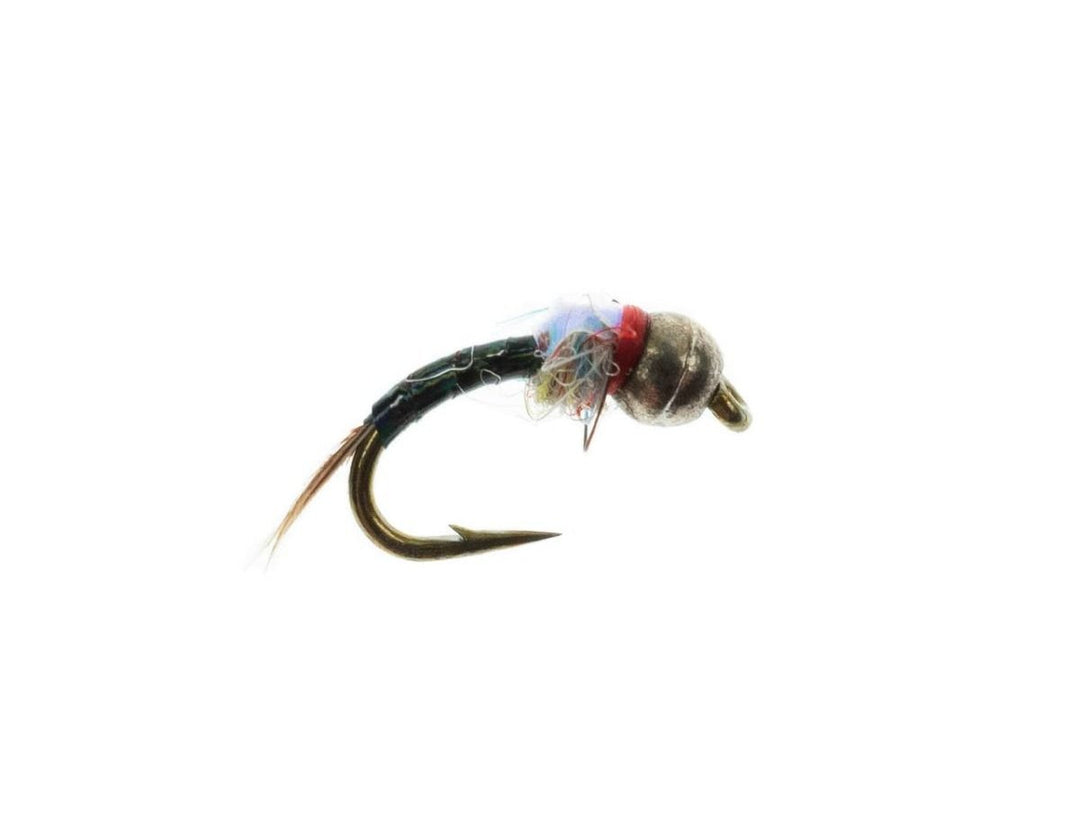 Rainbow Warrior Nymph Tungsten