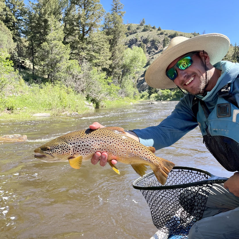 Encampment River Fishing Report – St. Peter's Fly Shop