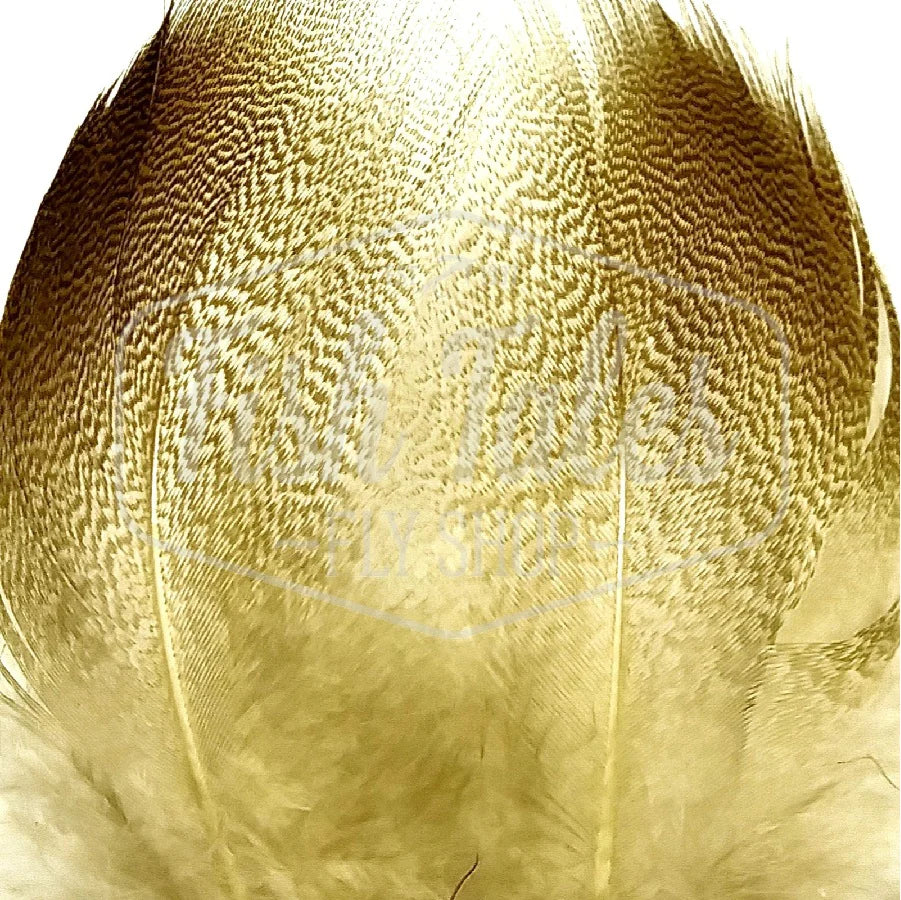 Large Mallard Barred Flank