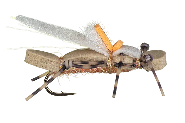 Water Walker Stonefly
