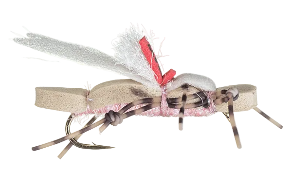 Water Walker Stonefly