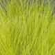 Hareline Extra Select Strung Marabou