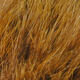Hareline Extra Select Strung Marabou